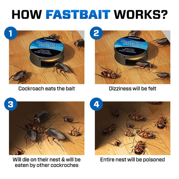 FastBait Roach Trap Station